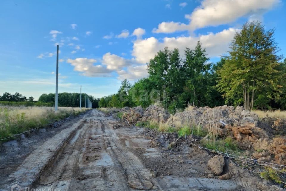 земля р-н Гурьевский п Голубево ул Центральная 7в фото 7