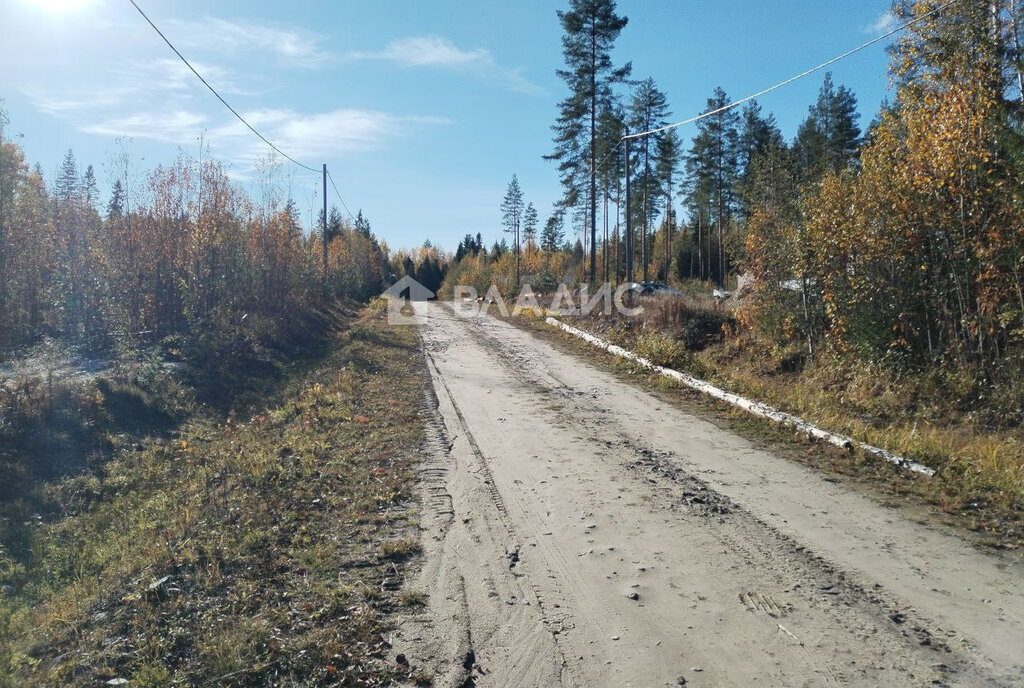 земля р-н Прионежский снт Ветеран-3 ул Рябиновая Нововилговское сельское поселение фото 12