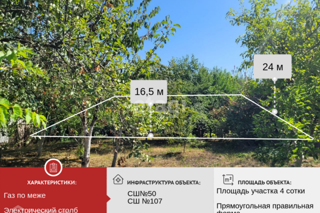 ст-ца Елизаветинская муниципальное образование Краснодар, садовое товарищество Нива фото