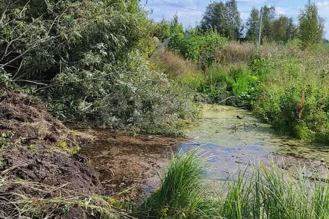 городской округ Тюмень, Берёзовая улица фото