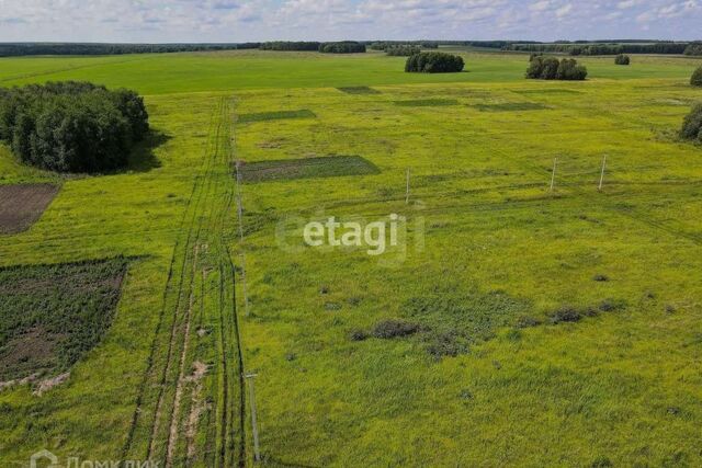 деревня Большие Акияры фото