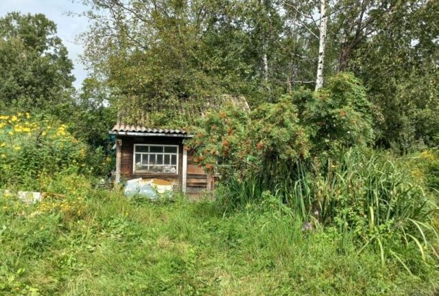 Садоводческое некоммерческое товарищество Промпроект, городской округ Хабаровск фото