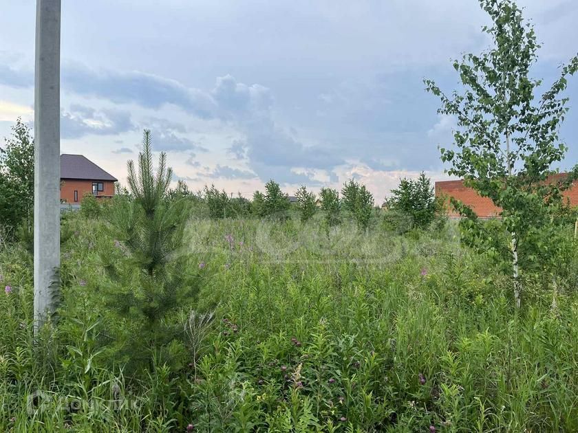 земля р-н Тюменский д Ушакова ул Праздничная фото 4