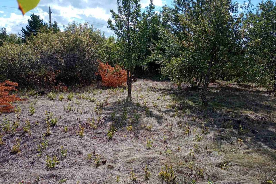 земля Саратов городской округ, СНТ Дебют, 162 фото 5