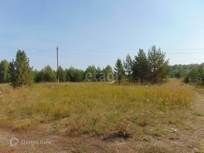 земля Озерский городской округ, Восточно-Уральский заповедник фото 5