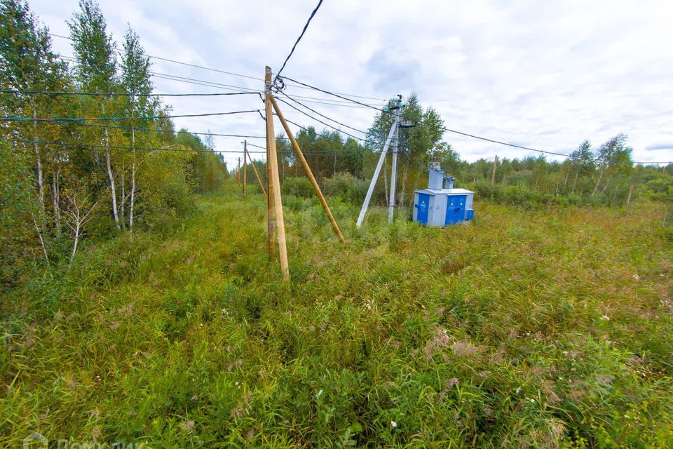 земля городской округ Тюмень, ДНТ Большое Царёво - 1 фото 6