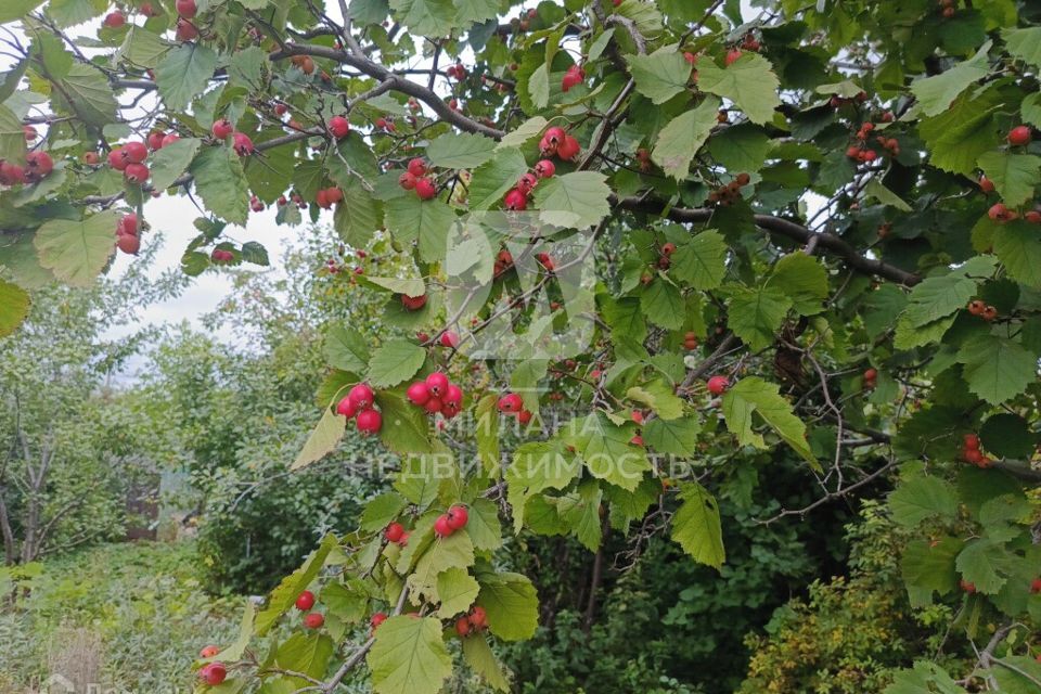 земля г Оренбург р-н Ленинский городской округ Оренбург, СНТ Незабудка фото 9