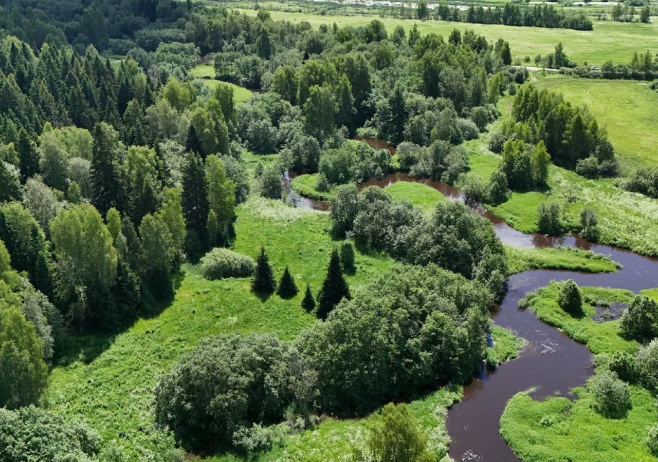 земля городской округ Солнечногорск д Болкашино 9751 км, г. о. Солнечногорск, Менделеево, Ленинградское шоссе фото 7