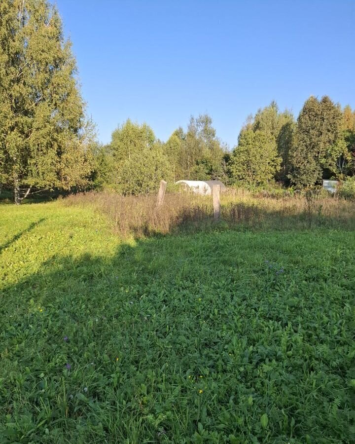 земля городской округ Дмитровский с Ивлево 9787 км, Рогачево, Рогачёвское шоссе фото 8