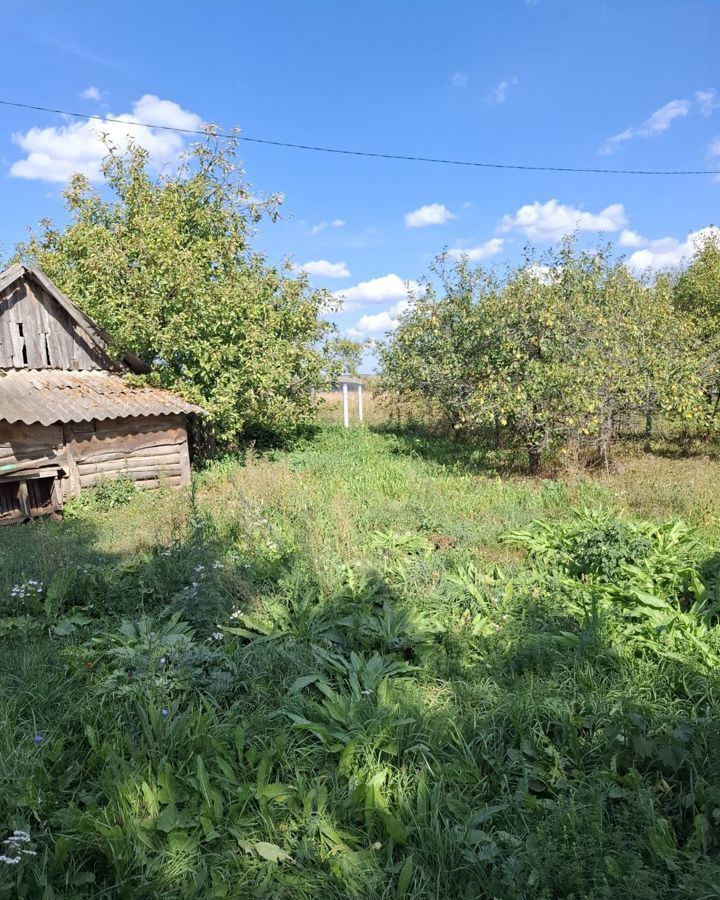 земля р-н Рузаевский с Пайгарма ул Центральная Рузаевка фото 6