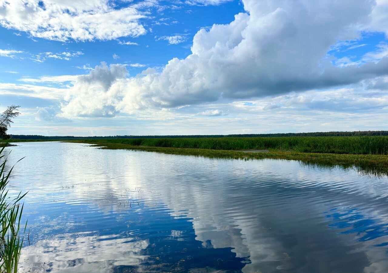 дом р-н Нижнетавдинский СНТ Аракчино, Тюмень фото 17