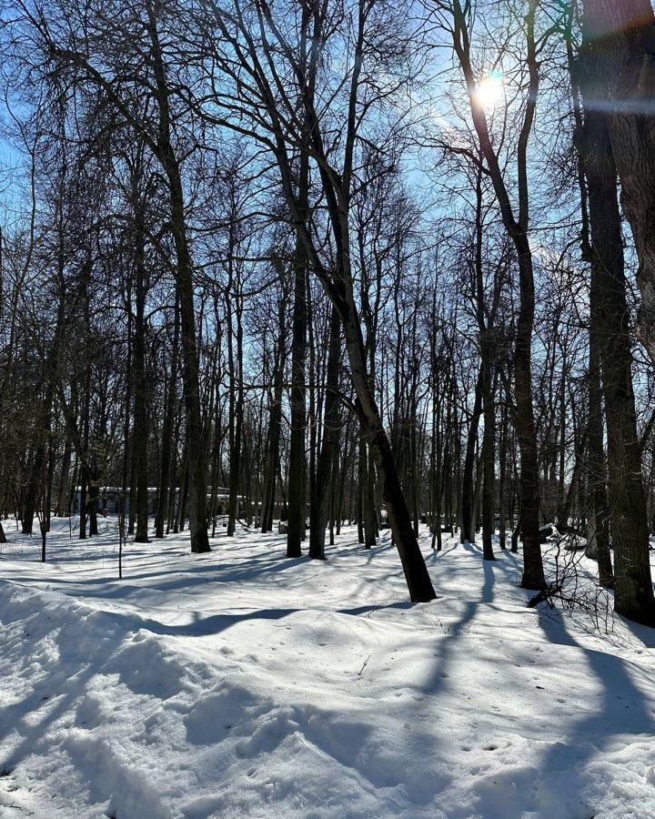 общепит, отдых городской округ Богородский г Старая Купавна ул Новая Слобода, д. Колонтаево фото 15