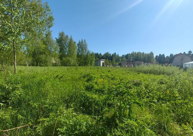 земля рп Деденево 9761 км, территория Дмитровские Дачи, Соловьиная ул, Дмитровское шоссе фото