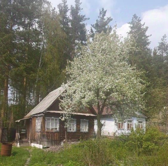 дом г Алапаевск п Асбестовский сад тер КоллективныйДружба АТП СНТ фото 3