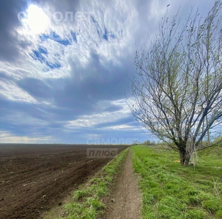 земля р-н Оренбургский с Ивановка пер Уральский фото 2