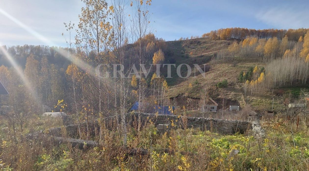 земля г Горно-Алтайск снт Бочкаревка 43 фото 4