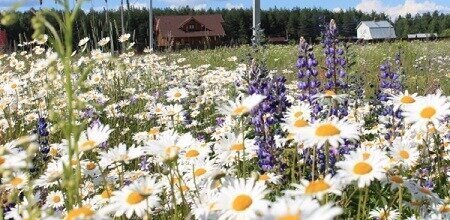 дом р-н Киржачский д Илькино ул Центральная муниципальное образование Горкинское фото 25