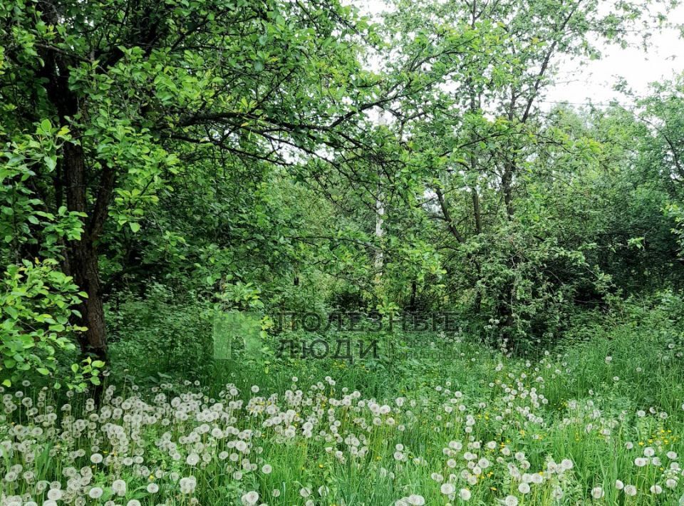 земля р-н Ленинский д Барыбинка 13, Тула фото 11