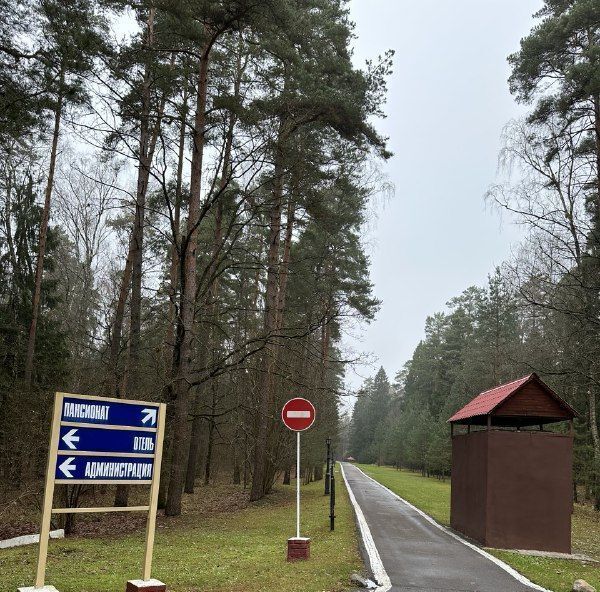 квартира городской округ Домодедово д Одинцово территория Бор Подольск, 10 фото 35