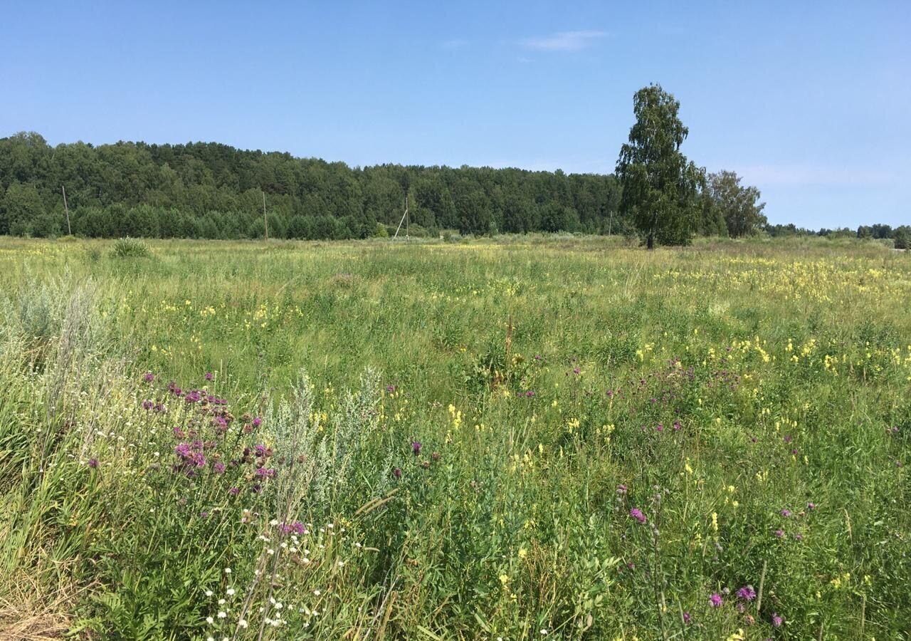 земля р-н Томский коттеджный посёлок Журавли, Томск фото 1