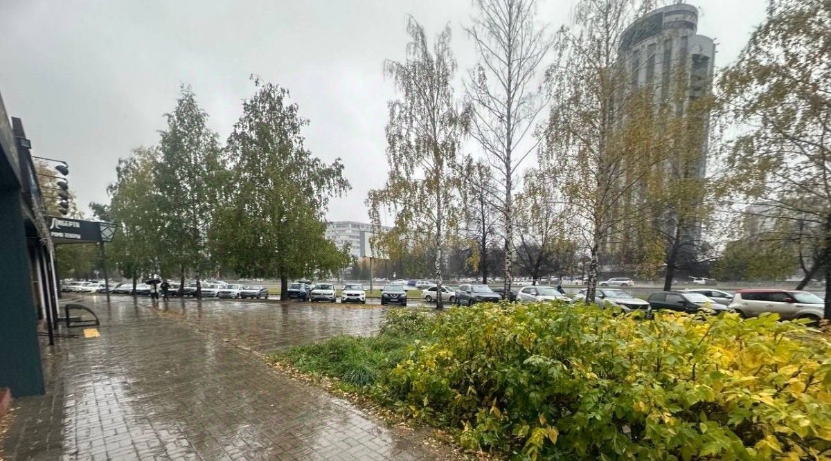 свободного назначения г Набережные Челны р-н Центральный пр-кт Мира 50/15 фото 12