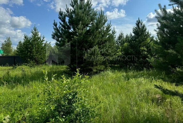 р-н Центральный Центральный административный округ фото