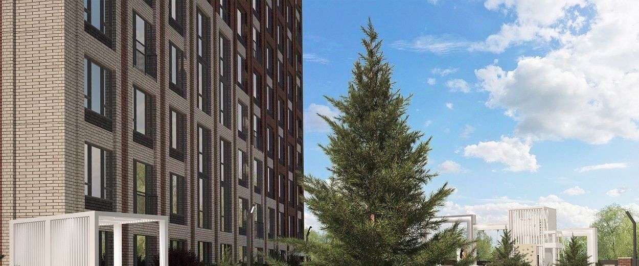 квартира г Новосибирск Заельцовская пр-кт Красный 236 фото 12