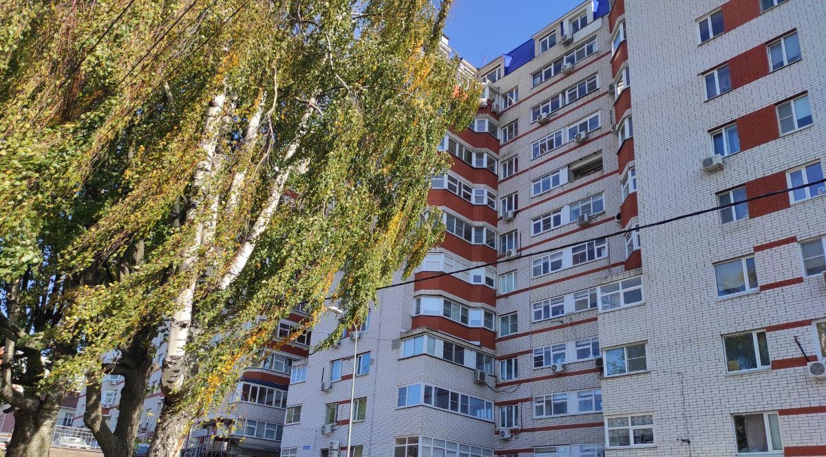 квартира г Нижний Новгород р-н Советский Горьковская ул Ошарская 98 фото 2