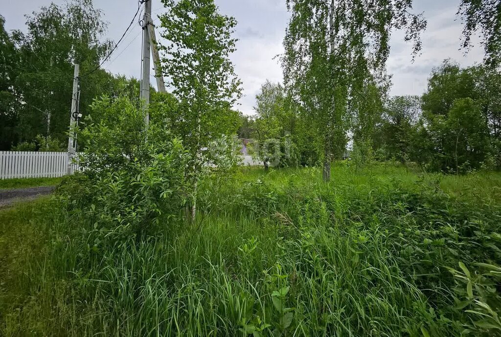 земля городской округ Раменский ДНП Поляна фото 3