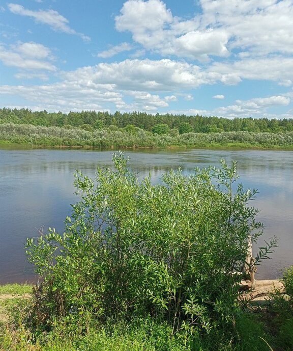 земля г Нижний Новгород р-н Нижегородский Горьковская ул Богдановича фото 4