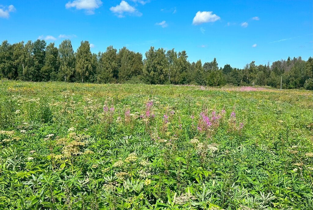 земля городской округ Клин п Нарынка фото 28