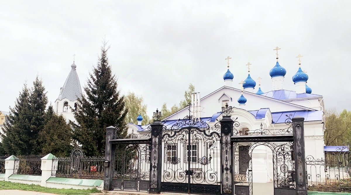 дом г Семенов д Рыжково Московская, 1В, Бор городской округ фото 22