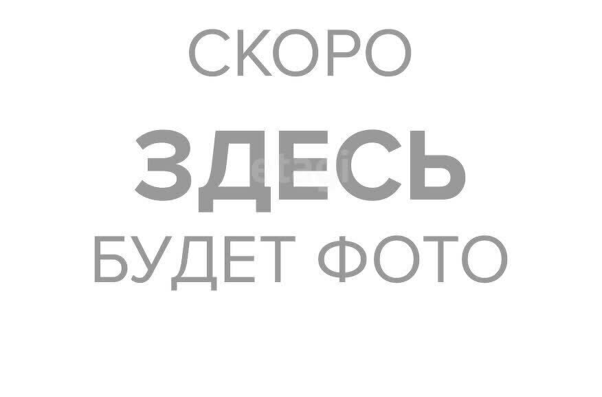 квартира г Новосибирск р-н Октябрьский Золотая Нива ул Виталия Потылицына 9/4 Плющихинский фото 2