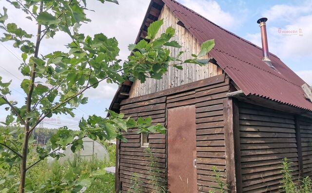 р-н Чкаловский коллективный сад Луч ТОО Горнощитское фото