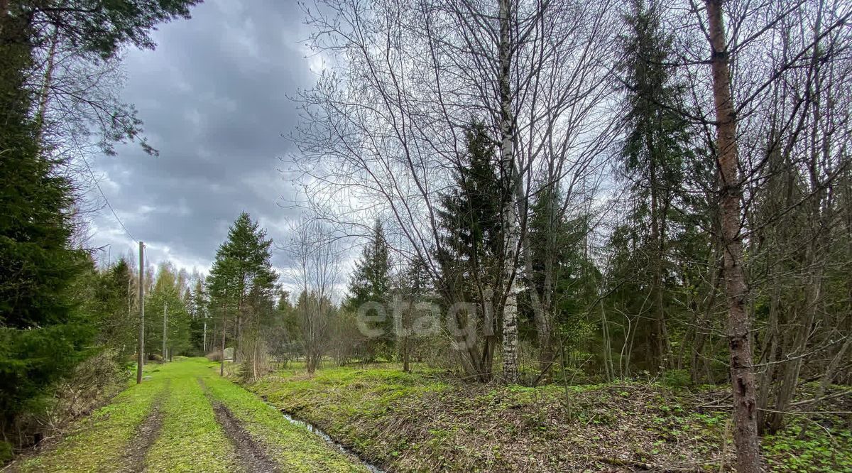 земля р-н Киришский Будогощское городское поселение, Луг СНТ фото 7