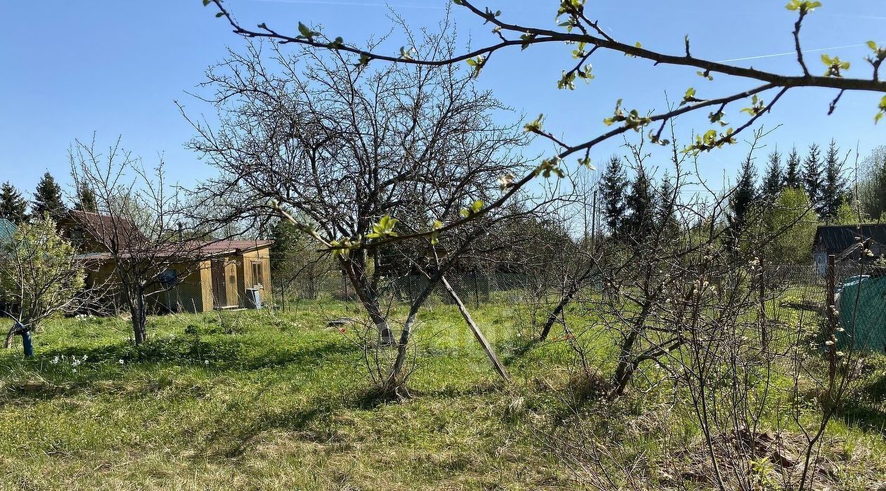 земля р-н Киришский массив Посадников Остров снт Рассвет Кусинское с/пос, 44-я линия фото 19