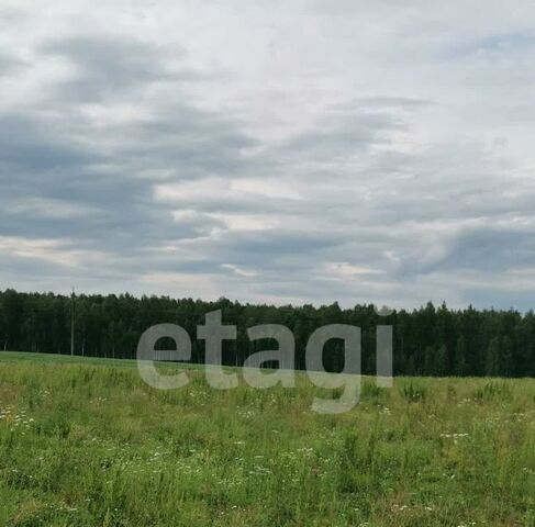 ул Шоссейная фото