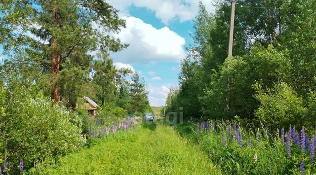 снт Предпортовая Кусинское с/пос, 2-я линия, 81 фото