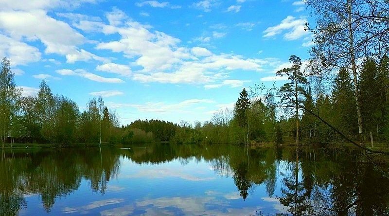 дом р-н Всеволожский д Вартемяги ул Авиаторов Агалатовское с/пос, Озерки фото 36