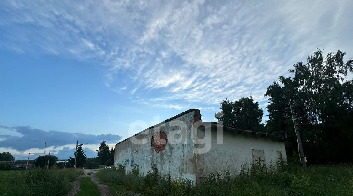 торговое помещение р-н Тепло-Огаревский рп Теплое ул Садовая 3 фото 4