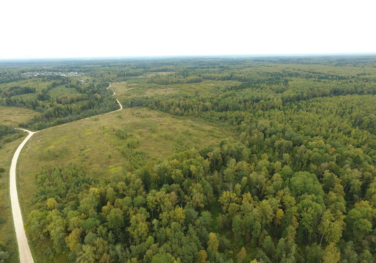 земля городской округ Волоколамский д Каменки 79 км, Сычево, Новорижское шоссе фото 1