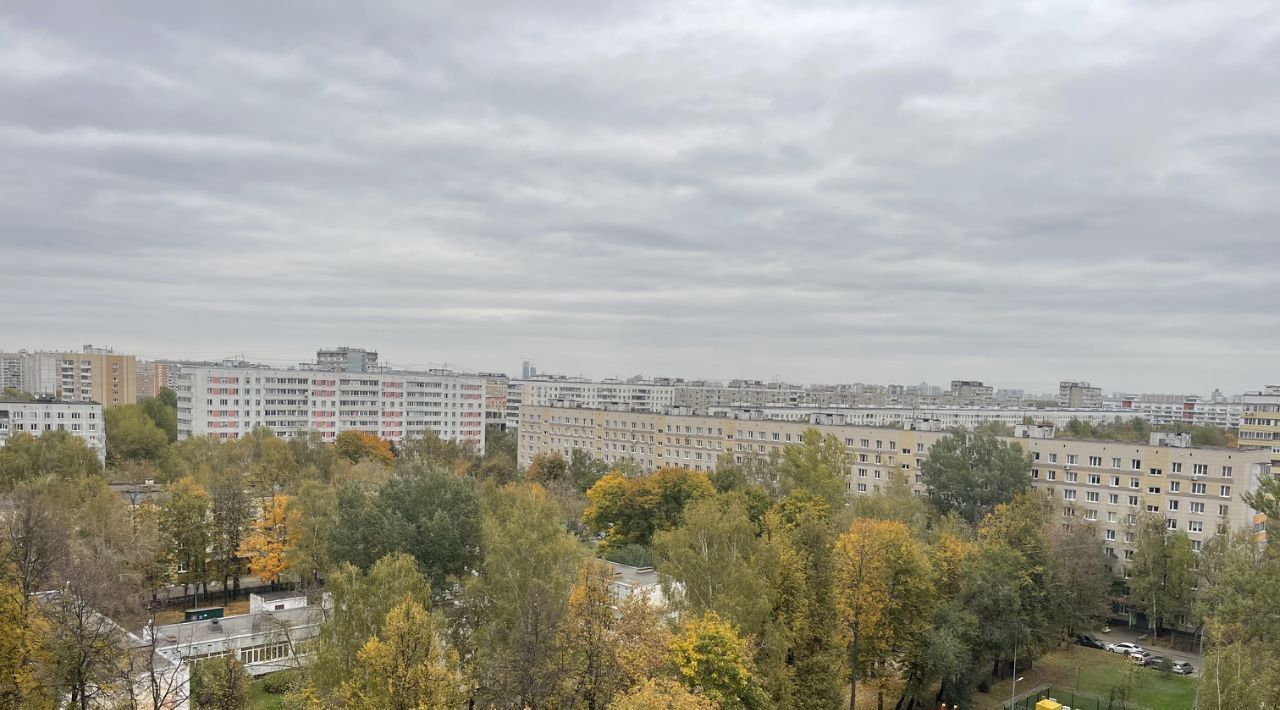 квартира г Москва метро Царицыно ул Касимовская 39к/2 муниципальный округ Бирюлёво Восточное фото 21