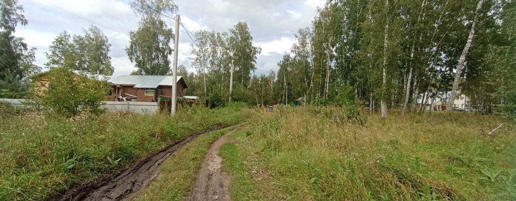 земля р-н Новосибирский с Марусино Криводановский сельсовет, Светлая ул, Новосибирск фото 5