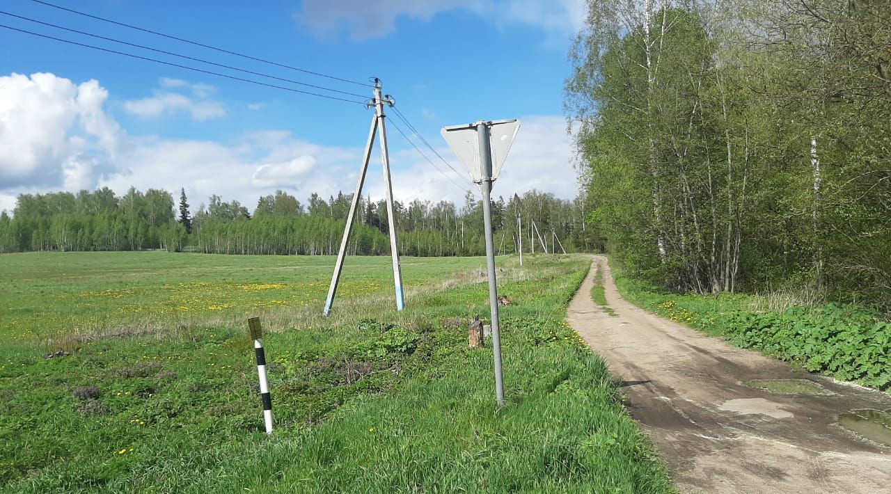 земля городской округ Рузский д Ботино фото 3