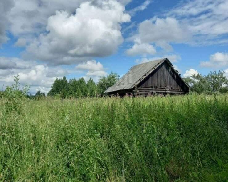 земля р-н Череповецкий с Абаканово Абакановское сельское поселение фото 3