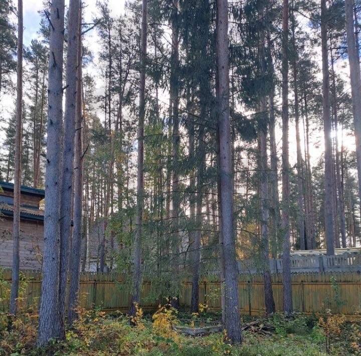 земля р-н Гатчинский Вырица городской поселок, ул. Новая фото 3