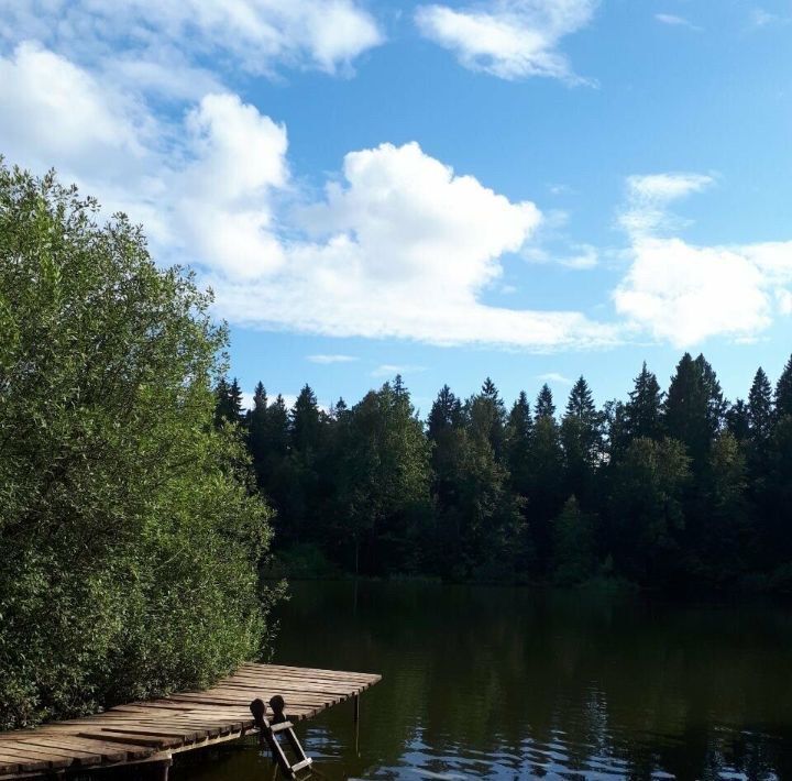 квартира городской округ Дмитровский с Подъячево ул Нагорная 1 фото 20