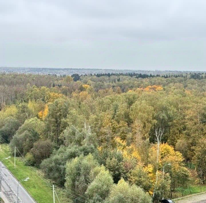 квартира г Москва п Московский ЖК «Град Московский» метро Рассказовка р-н микрорайон Град Московский ул Радужная 14к/4 Московский г. фото 12