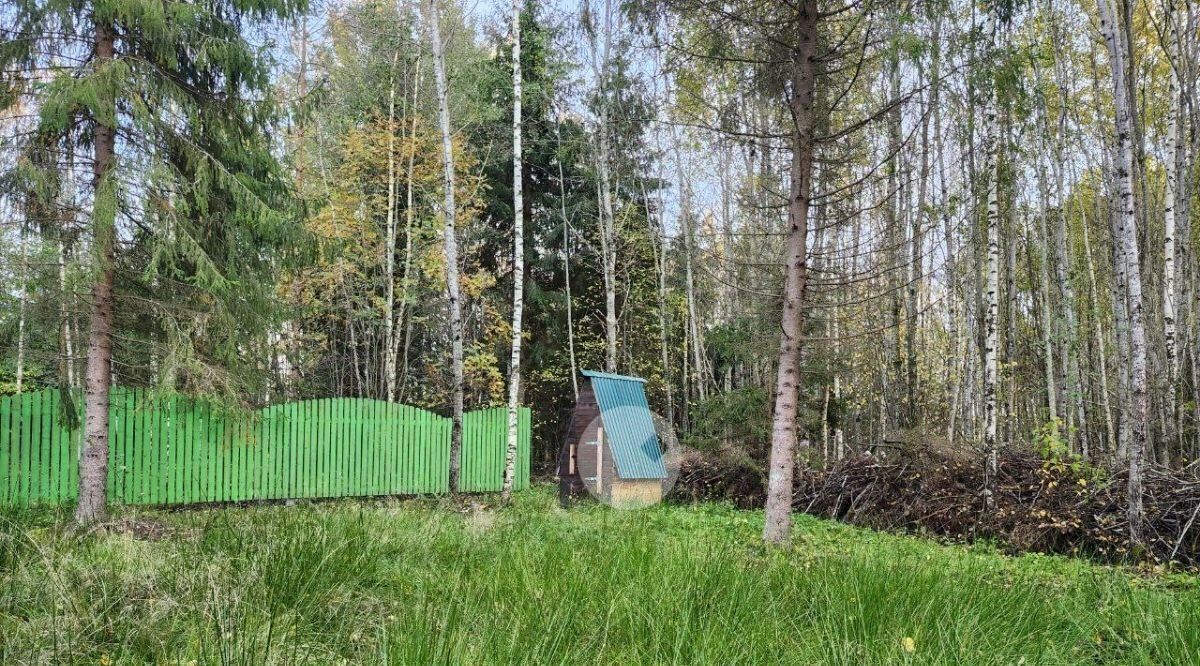 земля р-н Тосненский Любанское городское поселение, Садовое товарищество Щербаков хут., 8-я линия, 244 фото 13