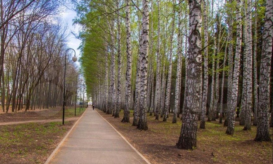 квартира г Уфа ул. Новоуфимская, д. 13 фото 12